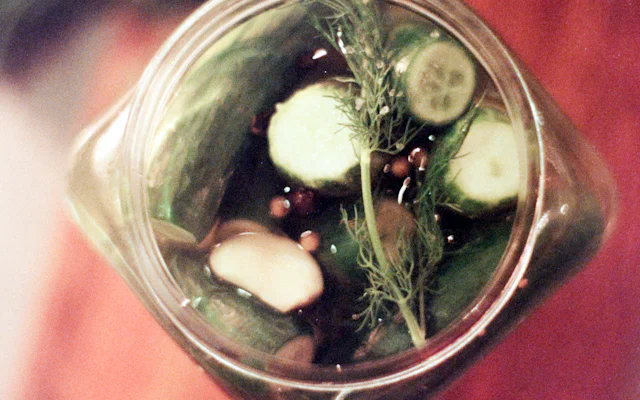 Pickles with dill in a jar of brine